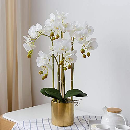 Künstliches Blumenset, künstliches Phalaenopsis-Orchideen-Arrangement, künstliche Orchideen-Bonsai mit Vase, Hochzeitsfeier, Heimdekoration, schöne künstliche Blumen und Vasen (Farbe: Weiß) (P (Weiß) von TAIYUESHAN