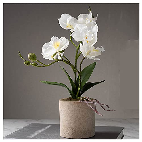 TAIYUESHAN Künstliche Blumen, künstliche Phalaenopsis, Kunstdekoration eignet Sich zur Dekoration im Innenbereich, Kunstblumen, künstlicher Blumenstrauß (weiß A) von TAIYUESHAN