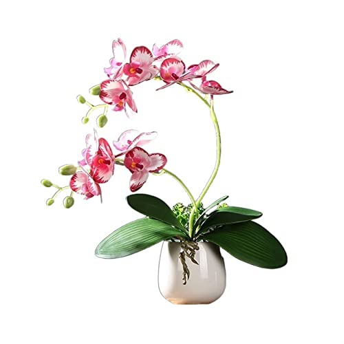 TAIYUESHAN Künstliche Blumen Phalaenopsis Simulation Anzug von TAIYUESHAN