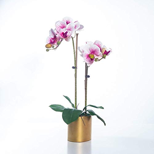 TAIYUESHAN Kunstblumen-Set, Kunstblumen mit Vase, Orchidee PU Phalaenopsis, Kunstblume in Vase, Gefälschte Blume im Topf für Wohnzimmerdekoration, Schöne Kunstblumen und Vasen (Col (B) von TAIYUESHAN