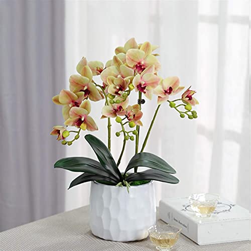 TAIYUESHAN Kunstblumen-Set, künstliche Orchideenblüten in Vase, Phalaenopsis, Kunstpflanze, Tafelaufsätze für Esszimmertisch, Wohnzimmerarrangements, Dekoration, schöne Kunstblumen und Vasen (C) von TAIYUESHAN