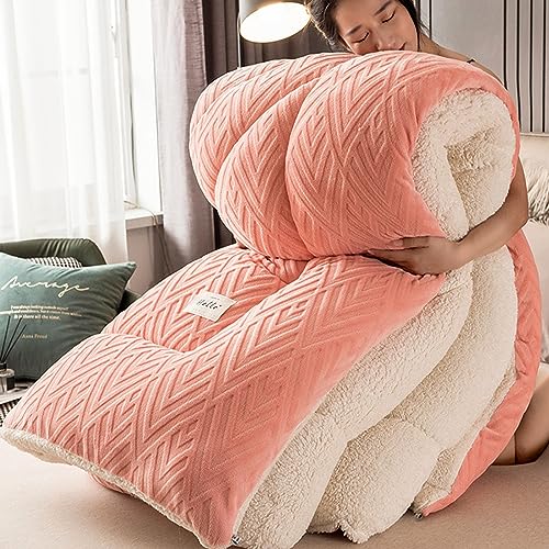 TAUIANE Super Warme Lammdecke, Atmungsaktive WäRmende Dicke Winterdecke, Flauschige PlüSch Bettdecken, Doppelseitige Samtdecke, FüR Kaltes Wetter,001,220×240cm(5kg) von TAUIANE