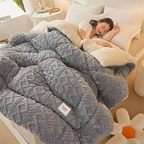 TAUIANE Super Warme Steppdecke, LuxuriöSe Dicke Bettdecke Aus Flanell Fleece, Winterdecke, Doppelseitige Steppdecke, Weiche PlüSch Samtdecke, Schwerer Warmer Bettdeckenkern,006,200×230cm(4kg) von TAUIANE