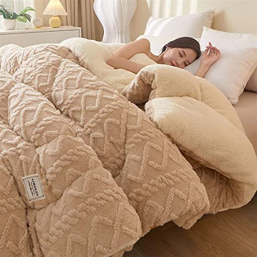 TAUIANE Super Warme Steppdecke, LuxuriöSe Dicke Bettdecke Aus Flanell Fleece, Winterdecke, Doppelseitige Steppdecke, Weiche PlüSch Samtdecke, Schwerer Warmer Bettdeckenkern,008,180×220cm(4kg) von TAUIANE