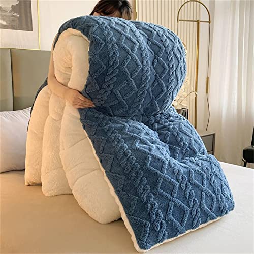 TAUIANE Winterdecke, Doppelseitige Samtdecke, Atmungsaktive WäRmende Flauschige PlüSchdecke, Weiche Winterdecke Aus Dickem Wendbarem PlüSch, FüR Bett Couch Kaltes Wetter,Blau,200×230cm(4kg) von TAUIANE