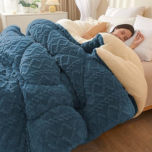 TAUIANE Winterdecke Verdicken, Doppelseitige Steppdecke, Super Warme Lammdecke, Flauschige Warme Samtdecke, LuxuriöSe Dicke Bettdecke Aus Flanell Fleece, FüR Kaltes Wetter,009,200×230cm(4kg) von TAUIANE