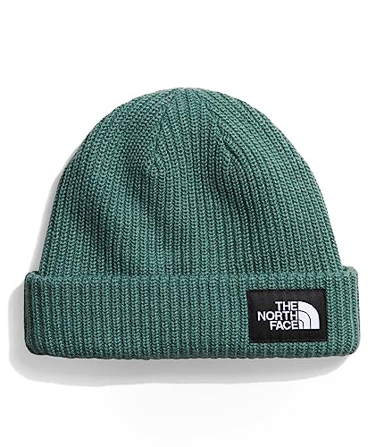 THE NORTH FACE Salty Lined Unisex Beanie-Mütze, Dark Sage, One Size von THE NORTH FACE