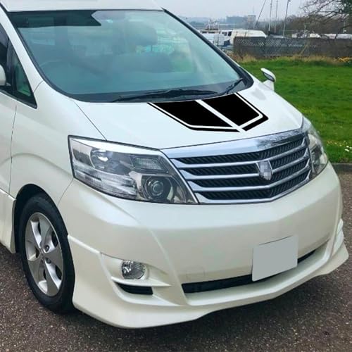 TNXPYXI Auto-Camper-Grafik, benutzerdefinierte Abdeckung, Vinyl-Dekor-Aufkleber, Van-Aufkleber, passend für Toyota Alphard Vellfire MVP, Autozubehör von TNXPYXI