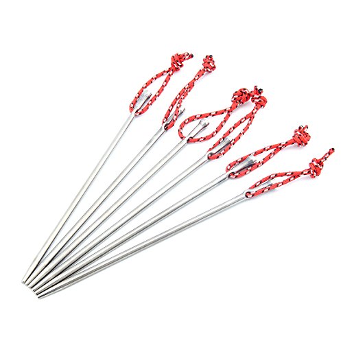 TOAKS PEG-06 Titanium Nagel Zelthering 6 Stück TOAKS PEG-06 Titanium Nagel Zelthering 6 Stück von TOAKS