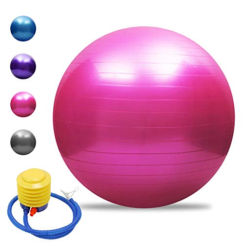 TOMSHOO Anti-Burst Yoga Ball verdickt Stabilit?t Balance Ball Pilates Barre k?rperliche Fitness Gymnastikball 45CM / 55CM / 65CM / 75CM Geschenk Luftpumpe von TOMSHOO