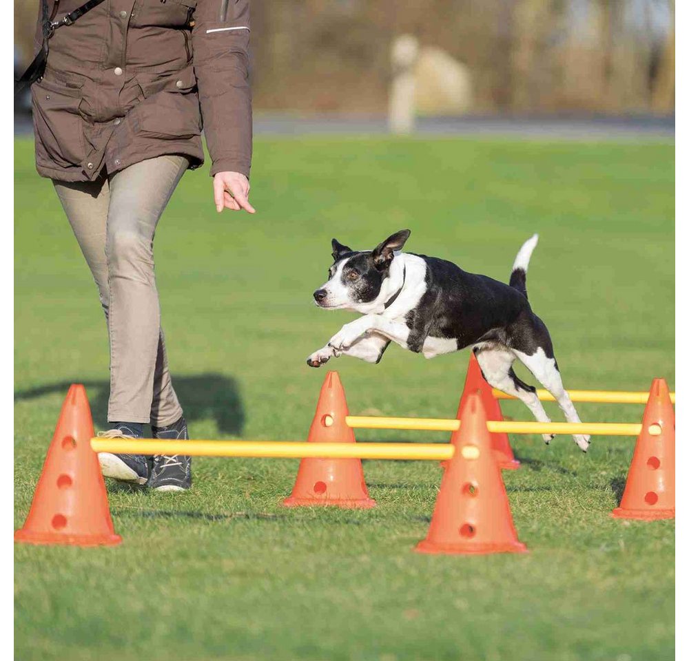 TRIXIE Agility-Hürde Trixie Pylonen-Hindernis 3er Set - ø 23 × 30 cm/78 cm von TRIXIE