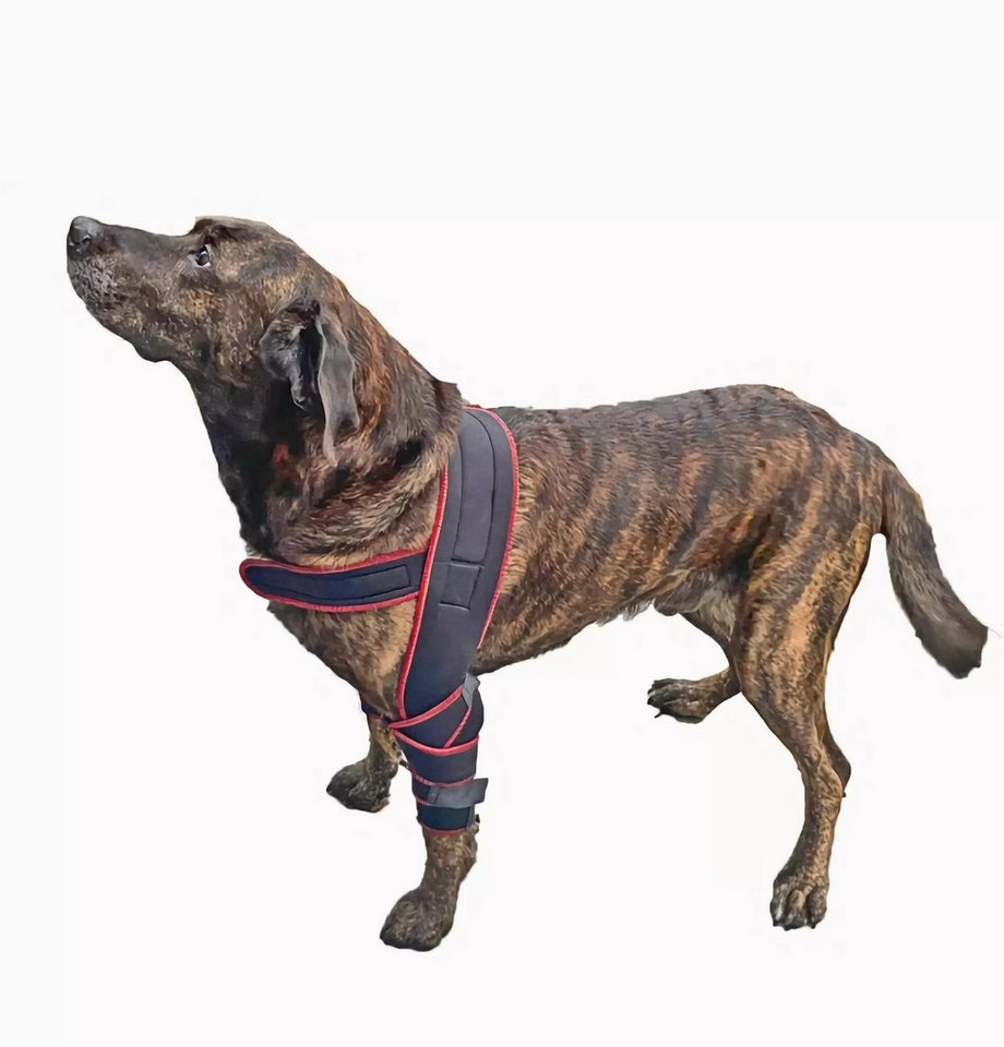 TSM Kniebandage 7545 TSM Ellenbogen-Bandage für Hunde "Athena" TSM Kniebandage 7545 TSM Ellenbogen-Bandage für Hunde "Athena" von TSM