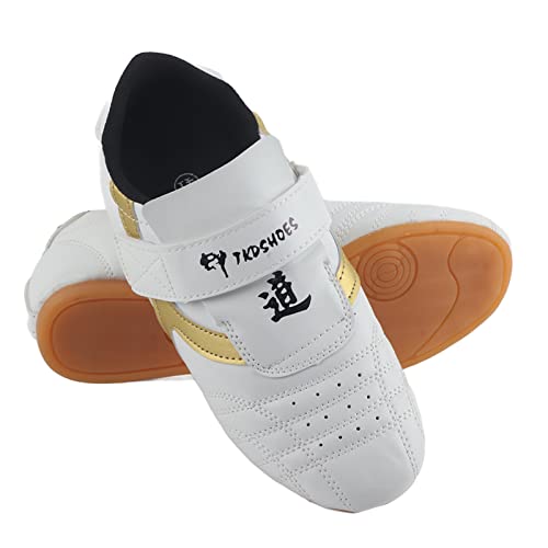 Taekwondo Sport Boxen Kung Fu Taichi Leichte Schuhe für Erwachsene und , 20 Größen (38 (Innenlänge 240cm)) von TYCIONG