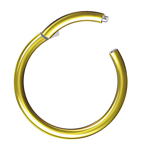 Piercing Ring Segmentring Clicker Scharnier Septum Tragus Helix Ohr Nase Lippe Nasenring Nasenpiercing Lippenpiercing Dünn Gold 1,2mm x 6mm Piercing Ring Segmentring Clicker Scharnier Septum Tragus Helix Ohr Nase Lippe Nasenring Nasenpiercing Lippenpiercing Dünn Gold 1,2mm x 6mm von Taffstyle