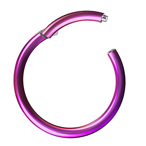 Piercing Ring Segmentring Clicker Scharnier Septum Tragus Helix Ohr Nase Lippe Nasenring Nasenpiercing Lippenpiercing Dünn Lila 0,8mm x 6mm Piercing Ring Segmentring Clicker Scharnier Septum Tragus Helix Ohr Nase Lippe Nasenring Nasenpiercing Lippenpiercing Dünn Lila 0,8mm x 6mm von Taffstyle