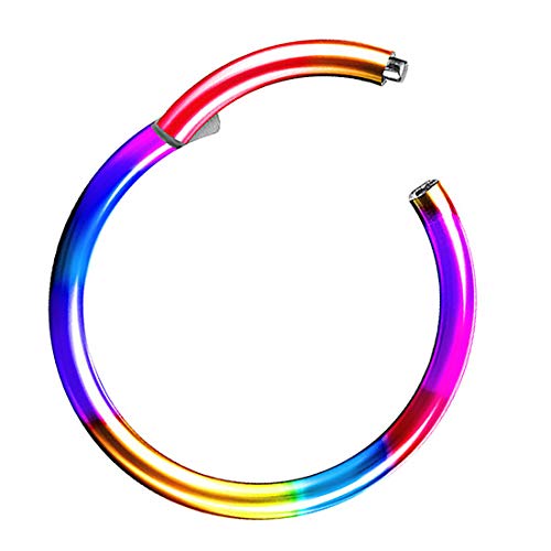 Piercing Ring Segmentring Clicker Scharnier Septum Tragus Helix Ohr Nase Lippe Nasenring Nasenpiercing Lippenpiercing Dünn Rainbow 1,2mm x 12mm Piercing Ring Segmentring Clicker Scharnier Septum Tragus Helix Ohr Nase Lippe Nasenring Nasenpiercing Lippenpiercing Dünn Rainbow 1,2mm x 12mm von Taffstyle