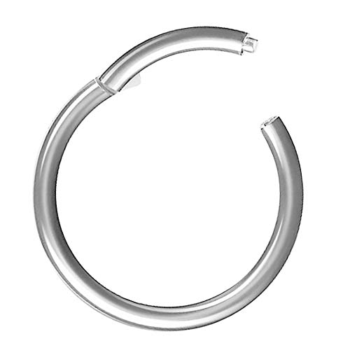 Piercing Ring Segmentring Clicker Scharnier Septum Tragus Helix Ohr Nase Lippe Nasenring Nasenpiercing Lippenpiercing Dünn Silber 1,0mm x 12mm von Taffstyle