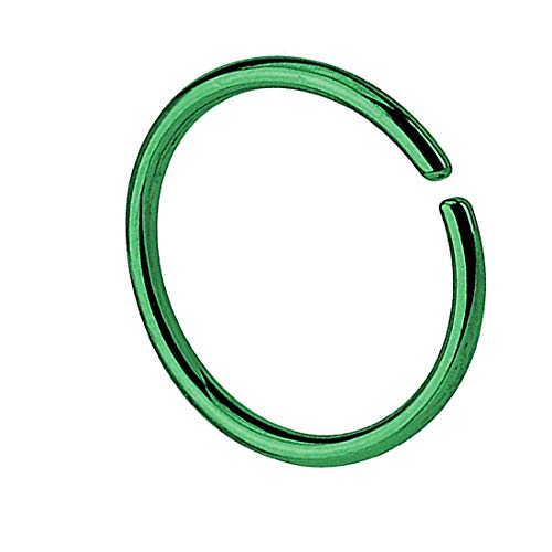 Taffstyle Piercing Continuous Ring Fake Klemmring Dünn Septum Tragus Helix Nase Lippe Ohr Nasenring Ohrpiercing Hoop Clip On Grün 1,0mm x 6mm Taffstyle Piercing Continuous Ring Fake Klemmring Dünn Septum Tragus Helix Nase Lippe Ohr Nasenring Ohrpiercing Hoop Clip On Grün 1,0mm x 6mm von Taffstyle