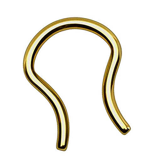 Taffstyle Piercing Fake Ring Retainer Hufeisen Septum Tragus Helix Nase Lippe Ohr Clip Nasenring Nasenpiercing Horseshoe Ohrpiercing Gold 1,2mm Taffstyle Piercing Fake Ring Retainer Hufeisen Septum Tragus Helix Nase Lippe Ohr Clip Nasenring Nasenpiercing Horseshoe Ohrpiercing Gold 1,2mm von Taffstyle