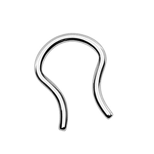 Taffstyle Piercing Fake Ring Retainer Hufeisen Septum Tragus Helix Nase Lippe Ohr Clip Nasenring Nasenpiercing Horseshoe Ohrpiercing Silber 1,6mm Taffstyle Piercing Fake Ring Retainer Hufeisen Septum Tragus Helix Nase Lippe Ohr Clip Nasenring Nasenpiercing Horseshoe Ohrpiercing Silber 1,6mm von Taffstyle