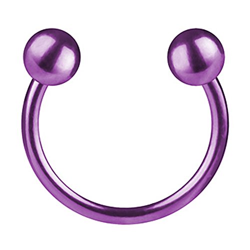 Taffstyle Piercing Hufeisen Horseshoe mit Kugeln Septum Tragus Helix Ohr Nase Lippe Ring Lippenpiercing Nasenpiercing Lila 1,2mm x 8mm x 3mm Taffstyle Piercing Hufeisen Horseshoe mit Kugeln Septum Tragus Helix Ohr Nase Lippe Ring Lippenpiercing Nasenpiercing Lila 1,2mm x 8mm x 3mm von Taffstyle