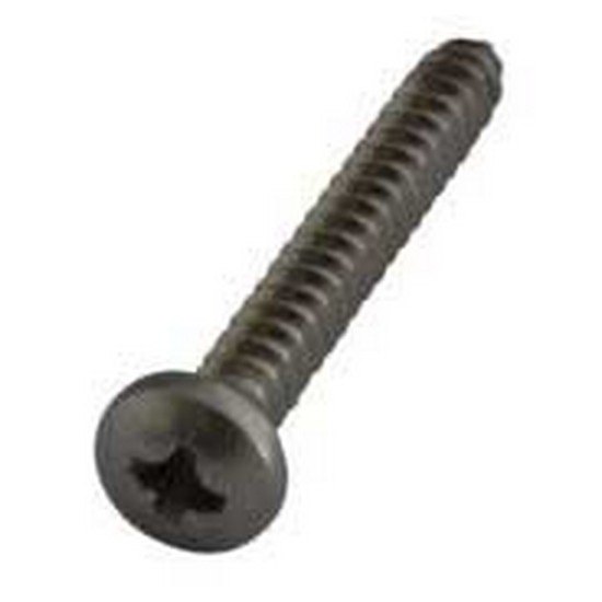 Talamex Plate Cylinder Phillips Head 6 Units Schwarz 3.5 x 38 mm Talamex Plate Cylinder Phillips Head 6 Units Schwarz 3.5 x 38 mm von Talamex