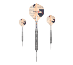 Target Raymond Van Barneveld Barney25 Swiss Point Steeldarts Target Raymond Van Barneveld Barney25 Swiss Point Steeldarts von Target