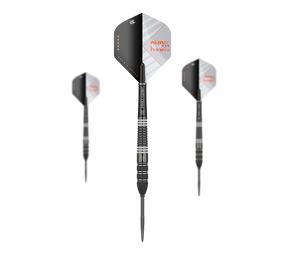Target Raymond Van Barneveld RvB95 X Echo Swiss Point Steeldarts Target Raymond Van Barneveld RvB95 X Echo Swiss Point Steeldarts von Target