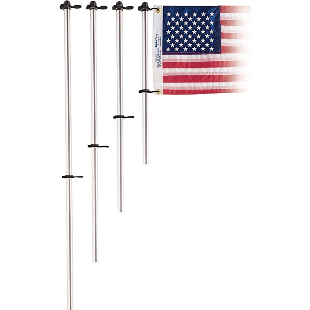 Taylor Aluminium Flag Pole Silber von Taylor