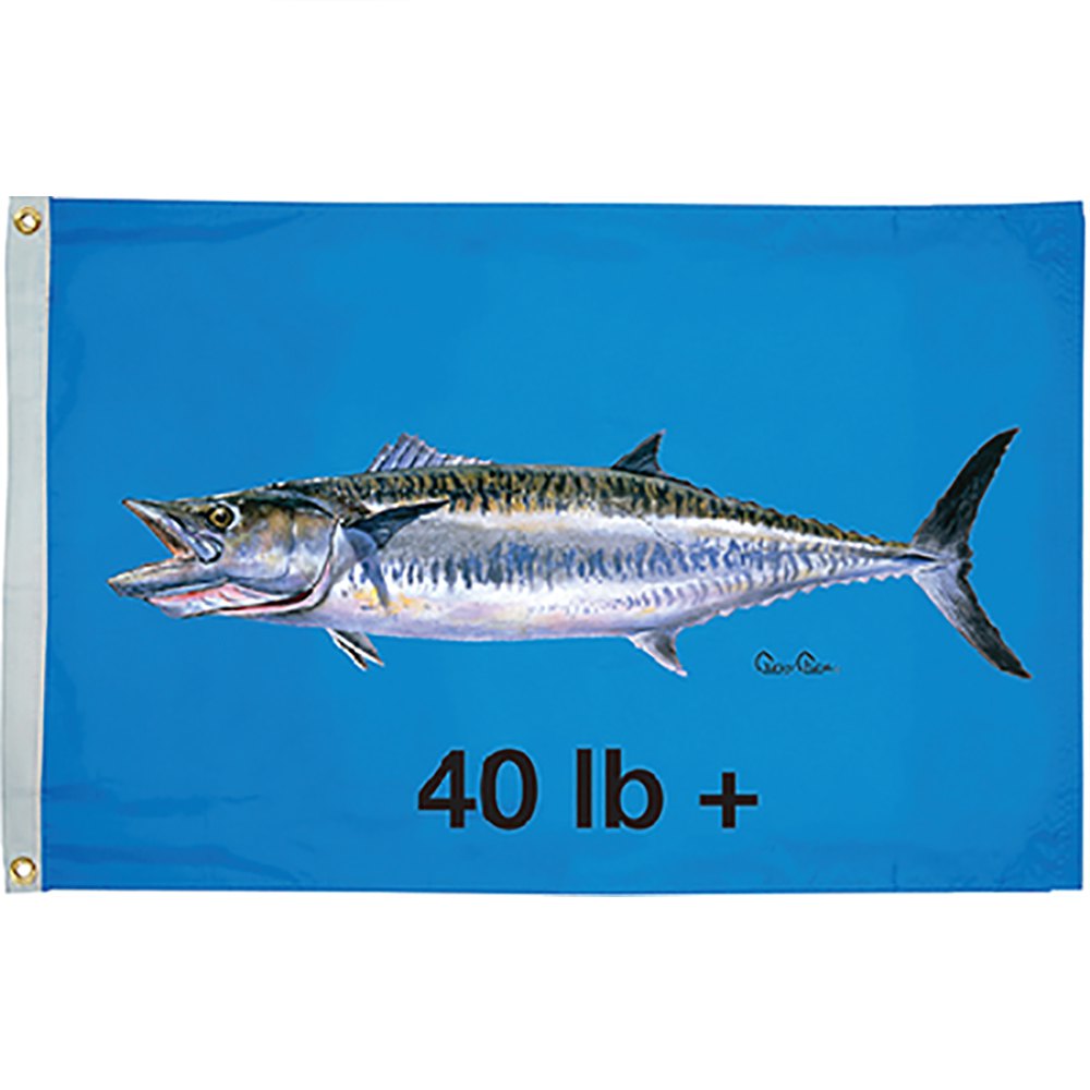 Taylor King Mackrel 40 Flag Blau 16 x 24´´ von Taylor