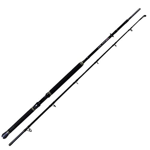 Team Deep Sea North Power Boat 210cm - 200-600g - 2tlg - 317g Team Deep Sea North Power Boat 210cm - 200-600g - 2tlg - 317g von Team Deep Sea
