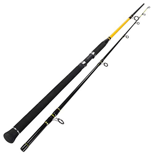 Team Deep Sea Unbreakable Special Pilk 270cm - 50-160g - 2tlg - 495g von Team Deep Sea