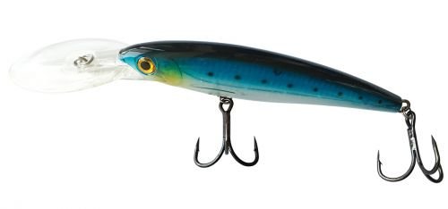 Team Norway Raptor 3D Saltwater Sardine Blau - Wobbler von Team Norway