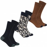 TED BAKER Becools Herren Socken 3 Paar 273198-ASSORTED TED BAKER Becools Herren Socken 3 Paar 273198-ASSORTED von Ted Baker