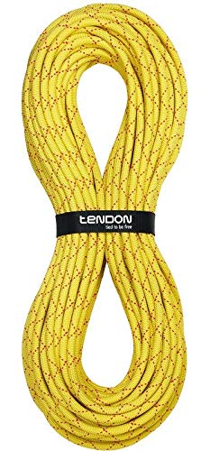 Kong Tendon Seil Canyon Salamander 10.2 200m Kong Tendon Seil Canyon Salamander 10.2 200m von Kong