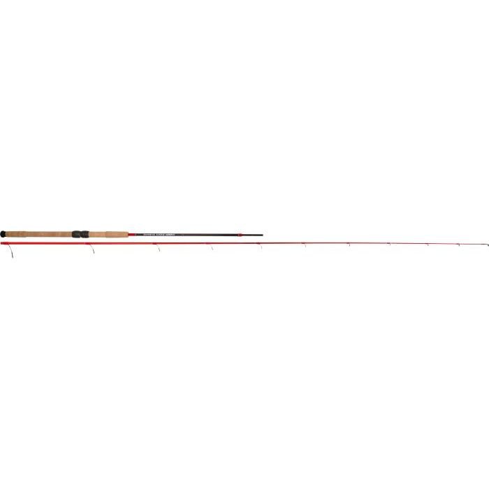 Tenryu Kaiko Iwana Spinning Rod Silber 2.90 m / 14-42 g von Tenryu