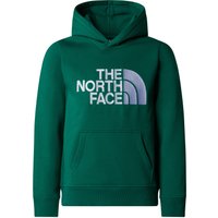 The North Face Kinder Boys Drew Peak Hoodie von The North Face