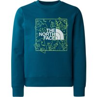 The North Face Kinder New Graphic Crew Pullover von The North Face