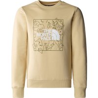 The North Face Kinder New Graphic Crew Pullover von The North Face