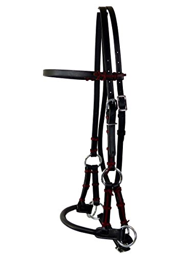 Thor Equine Sidepull mit rundem Leder Nasenriemen, Schwarz, Cob von Thor Equine