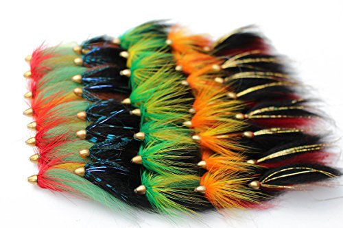 Tigofly 40 Stück/Los Cone Head Tube Fly 5 Muster Streamer Fly Lachsforelle Steelhead Fliegenfischen Fliegen Köder Set von Tigofly