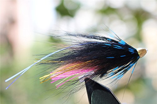 Tigofly Angelköder mit Federn, 24 Stück, für Lachs und Meerforellen, Blau, #10, #12, #14 Tigofly Angelköder mit Federn, 24 Stück, für Lachs und Meerforellen, Blau, #10, #12, #14 von Tigofly