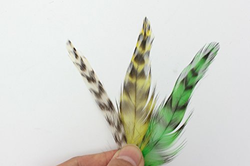 Federn zum Fliegenfischen, 30 Stück mit 3 gemischten Farben, natürlich gebändert von Tigofly
