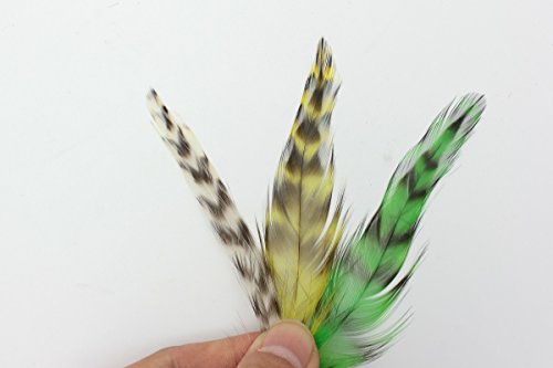 Federn zum Fliegenfischen, 30 Stück mit 3 gemischten Farben, natürlich gebändert Federn zum Fliegenfischen, 30 Stück mit 3 gemischten Farben, natürlich gebändert von Tigofly
