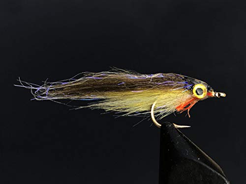 Tigofly 12 Stück Pink Olive UV Polar Fry langsam sinkende Lachs Forelle Steelhead Elritze Fliegenfischen Fliegenköder Fliegenset Größe #8 (Olivgrün) von Tigofly