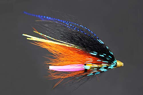 Tigofly 24 Stück/Los, schöne blaue und schwarze Federkegel, Kopfrohr, Fliegen, Lachs, Forelle, Stahlkopf, Fliegenfischen, Fliegenköder Tigofly 24 Stück/Los, schöne blaue und schwarze Federkegel, Kopfrohr, Fliegen, Lachs, Forelle, Stahlkopf, Fliegenfischen, Fliegenköder von Tigofly
