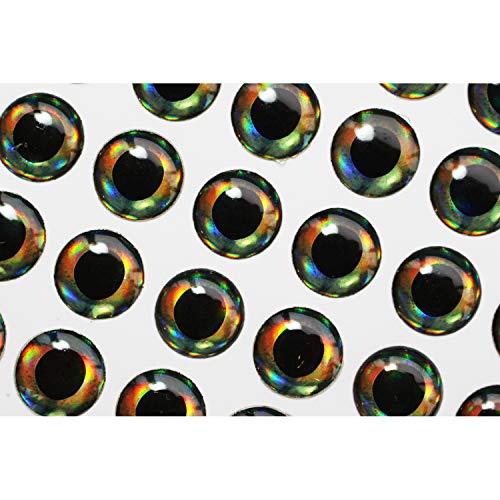 Tigofly 4 mm/6 mm/10 mm 4D Fischaugen, realistische Holografische DIY Fliegenfischen Köder Herstellung künstlicher Augen Fliegenbinden Materialien, 6mm 207pcs von Tigofly