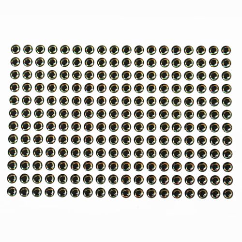 Tigofly 4 mm/6 mm/10 mm 4D Fischaugen, realistische Holografische DIY Fliegenfischen Köder Herstellung künstlicher Augen Fliegenbinden Materialien, 6mm 207pcs von Tigofly