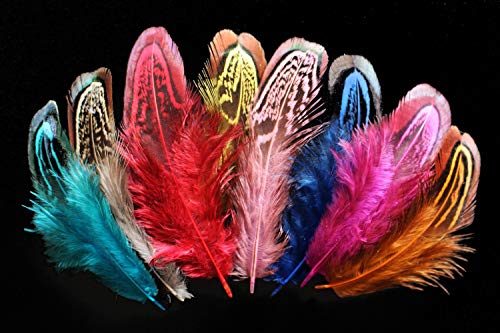 Tigofly 50 Stück/Packung 5-10 cm 8 Farben lose Hahn Fasan Federn Schulter Kirche Fenster Fliegenbinden Materialien Tigofly 50 Stück/Packung 5-10 cm 8 Farben lose Hahn Fasan Federn Schulter Kirche Fenster Fliegenbinden Materialien von Tigofly