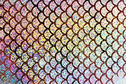 Tigofly 6 Stück 6 Farben 10 x 21 cm Holografischer Film Flash Laser künstliche Fischhaut DIY Jig Aufkleber Köder Aufkleber Fliegenbinden Materialien (sortiert je 1 Stück) Tigofly 6 Stück 6 Farben 10 x 21 cm Holografischer Film Flash Laser künstliche Fischhaut DIY Jig Aufkleber Köder Aufkleber Fliegenbinden Materialien (sortiert je 1 Stück) von Tigofly